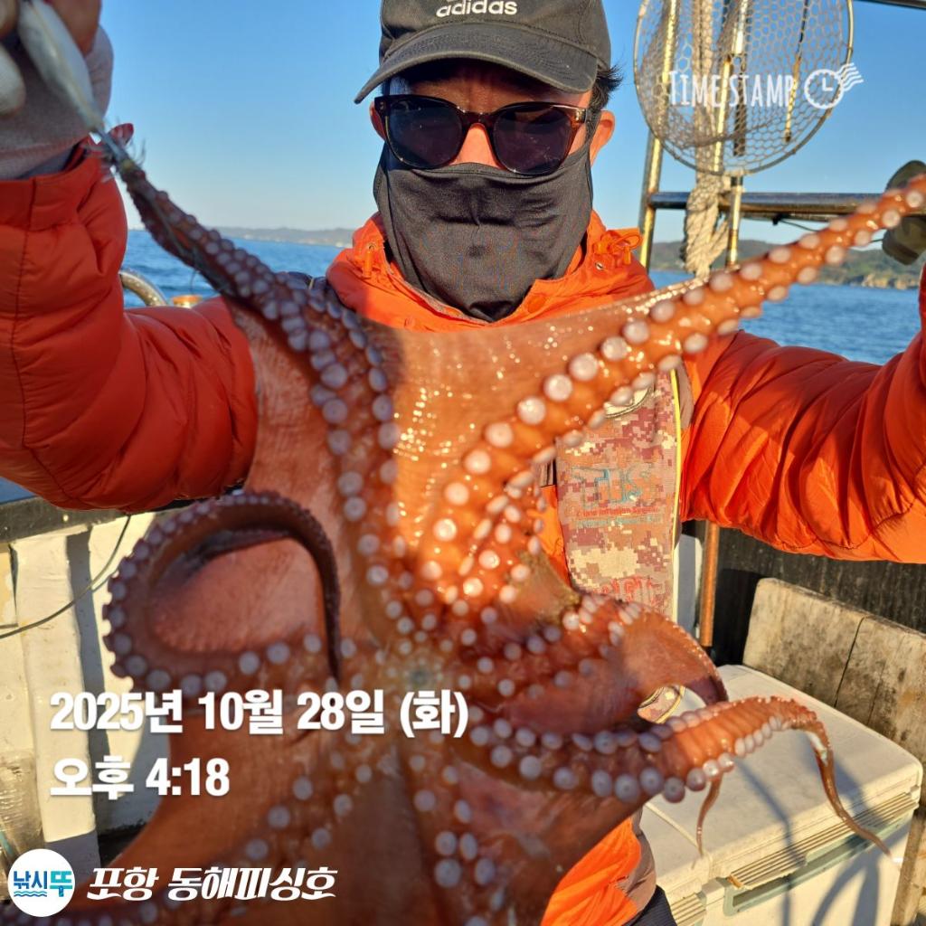 낚시뚜,돌문어,포항(운하관),포항 동해피싱호,낚시뚜3