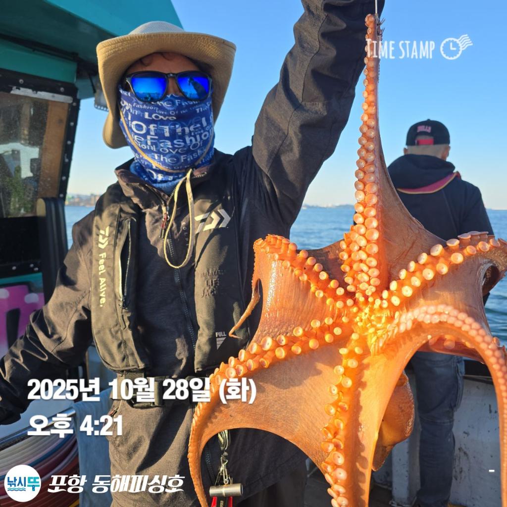 낚시뚜,돌문어,포항(운하관),포항 동해피싱호,낚시뚜2