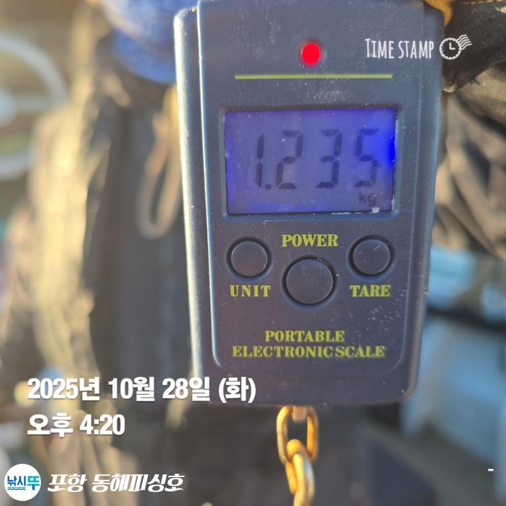 낚시뚜,돌문어,포항(운하관),포항 동해피싱호,낚시뚜1