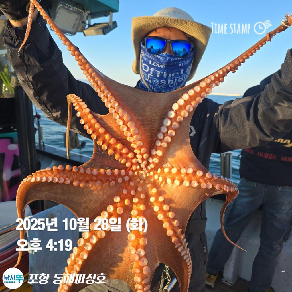 낚시뚜,돌문어,포항(운하관),포항 동해피싱호,낚시뚜0