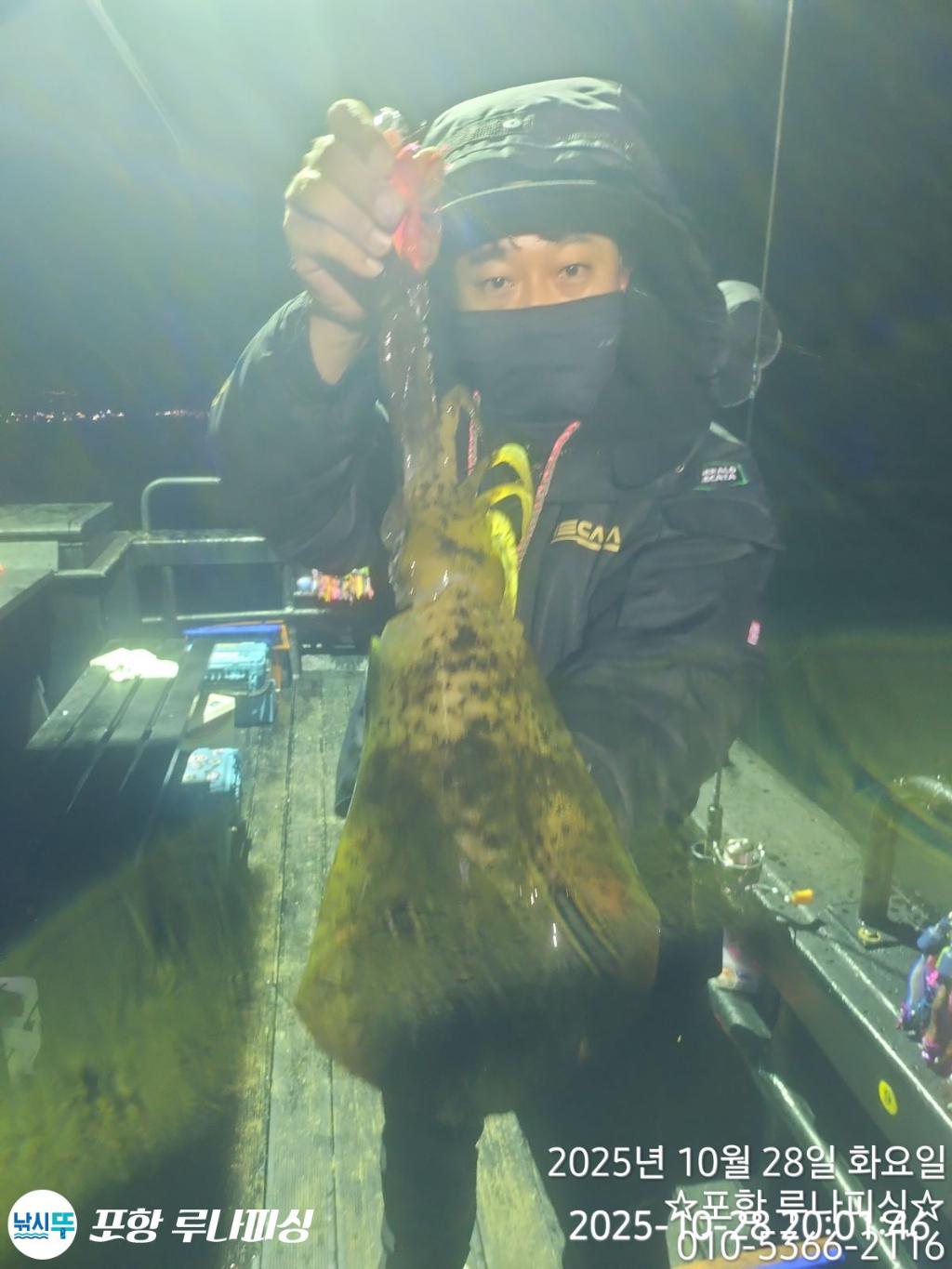 낚시뚜,무늬오징어,구룡포항,포항 루나피싱,낚시뚜12