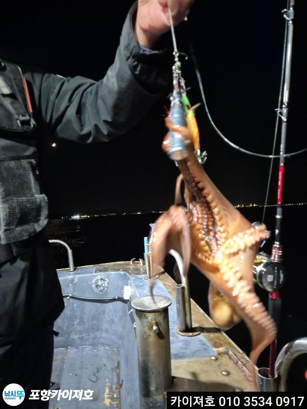 낚시뚜,기타 (직접입력),영일만항,포항카이져호,낚시뚜38