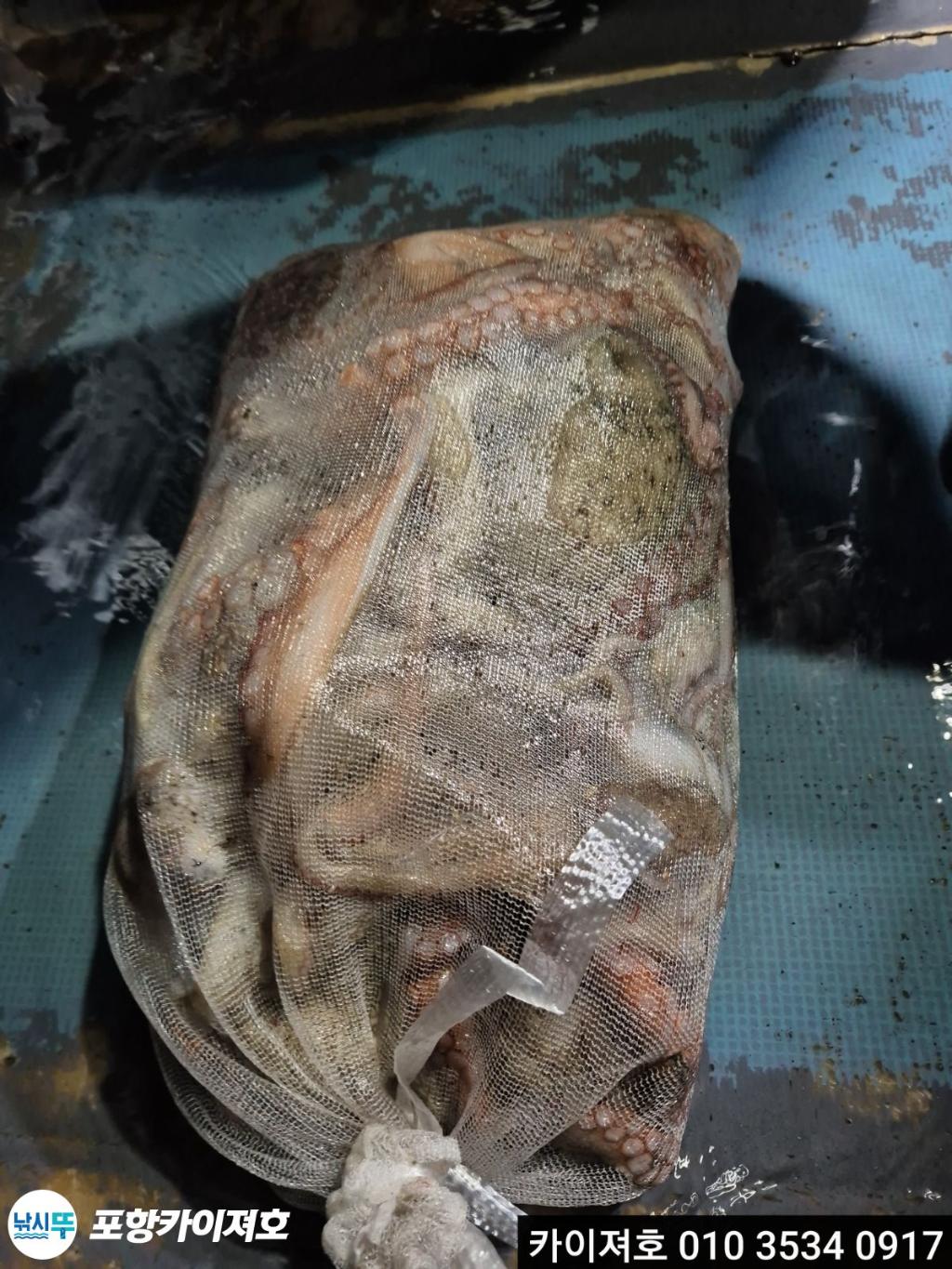 낚시뚜,기타 (직접입력),영일만항,포항카이져호,낚시뚜9