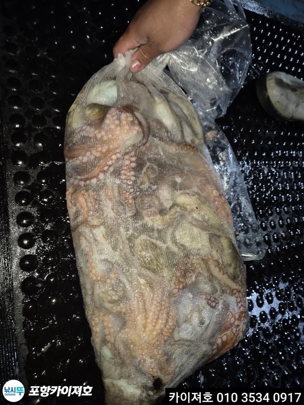 낚시뚜,기타 (직접입력),영일만항,포항카이져호,낚시뚜7