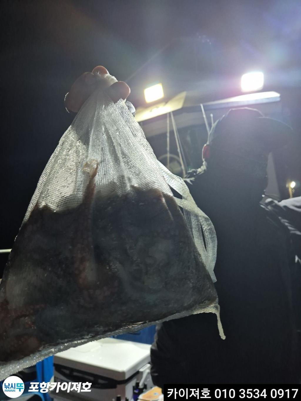 낚시뚜,기타 (직접입력),영일만항,포항카이져호,낚시뚜8