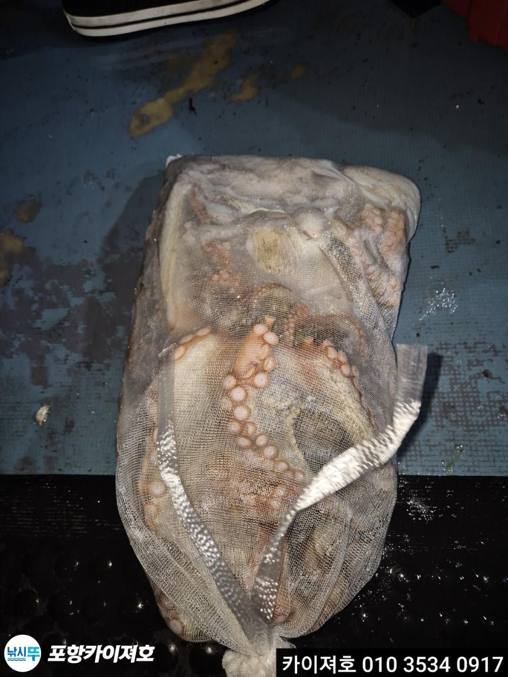 낚시뚜,기타 (직접입력),영일만항,포항카이져호,낚시뚜4