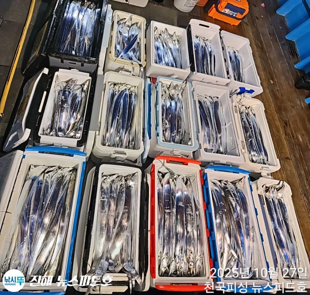 낚시뚜,갈치,진해행암항,진해 뉴스피드호,낚시뚜35