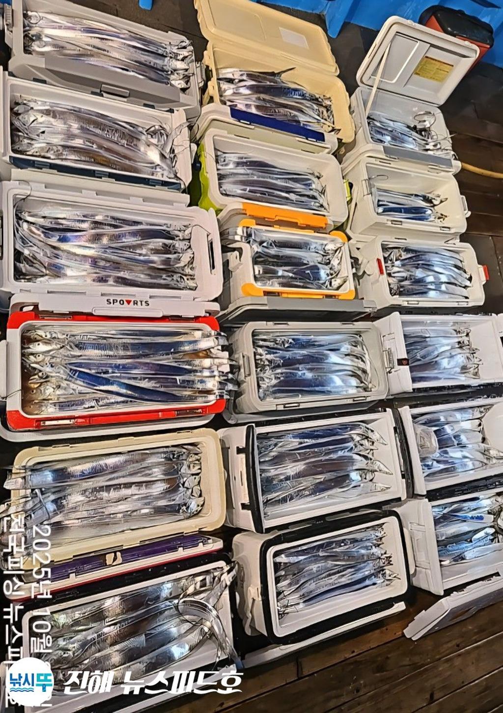 낚시뚜,갈치,진해행암항,진해 뉴스피드호,낚시뚜31