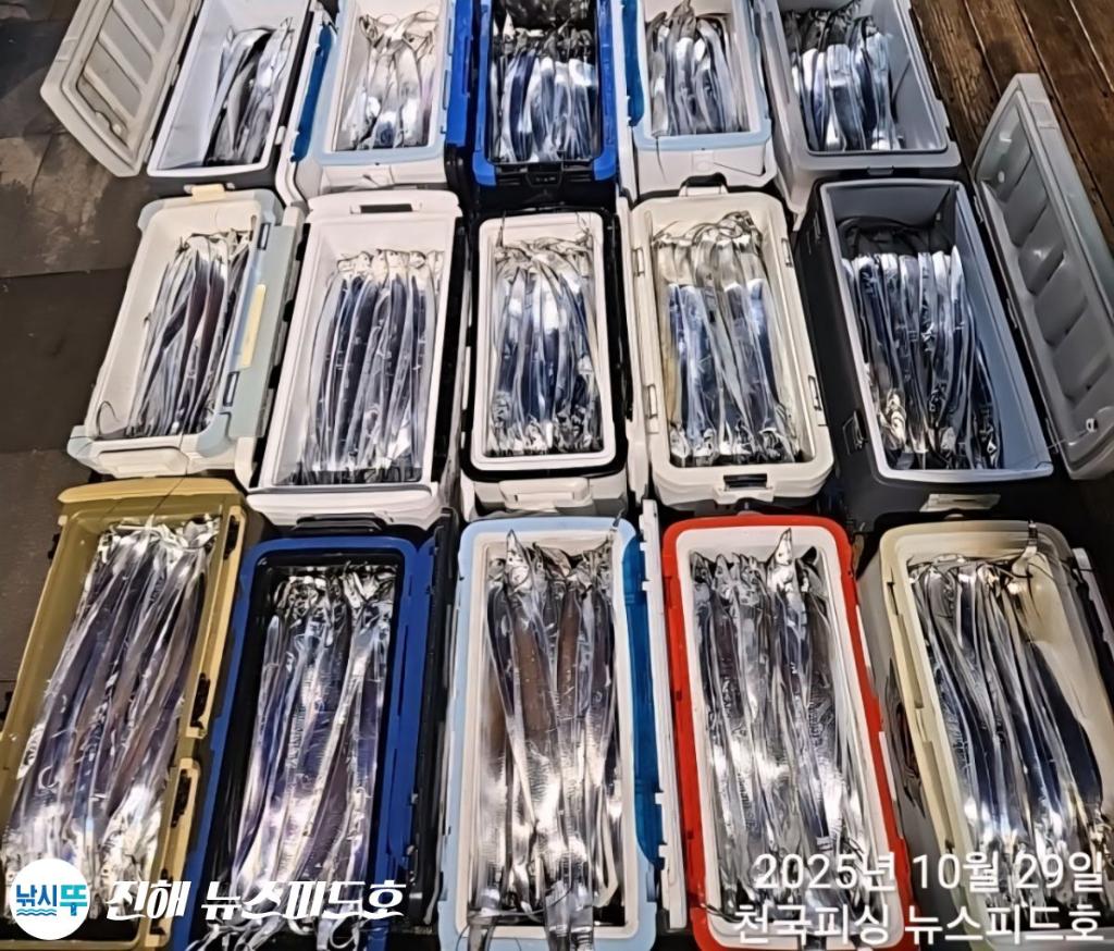 낚시뚜,갈치,진해행암항,진해 뉴스피드호,낚시뚜29