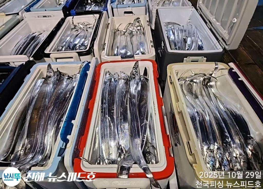 낚시뚜,갈치,진해행암항,진해 뉴스피드호,낚시뚜26