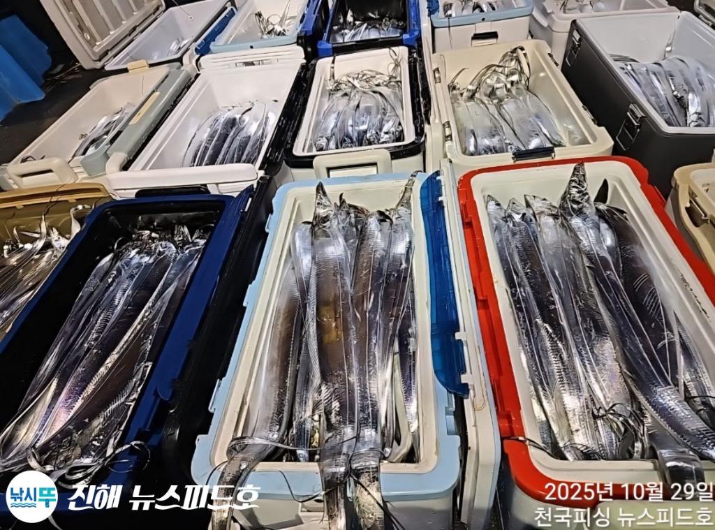 낚시뚜,갈치,진해행암항,진해 뉴스피드호,낚시뚜25