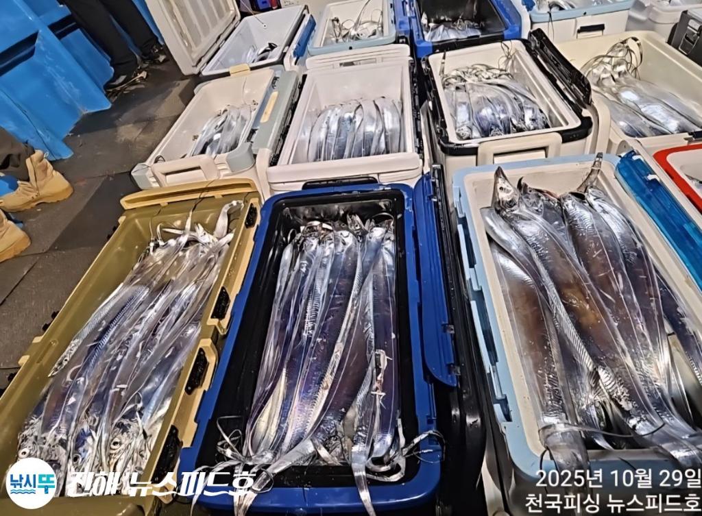 낚시뚜,갈치,진해행암항,진해 뉴스피드호,낚시뚜24