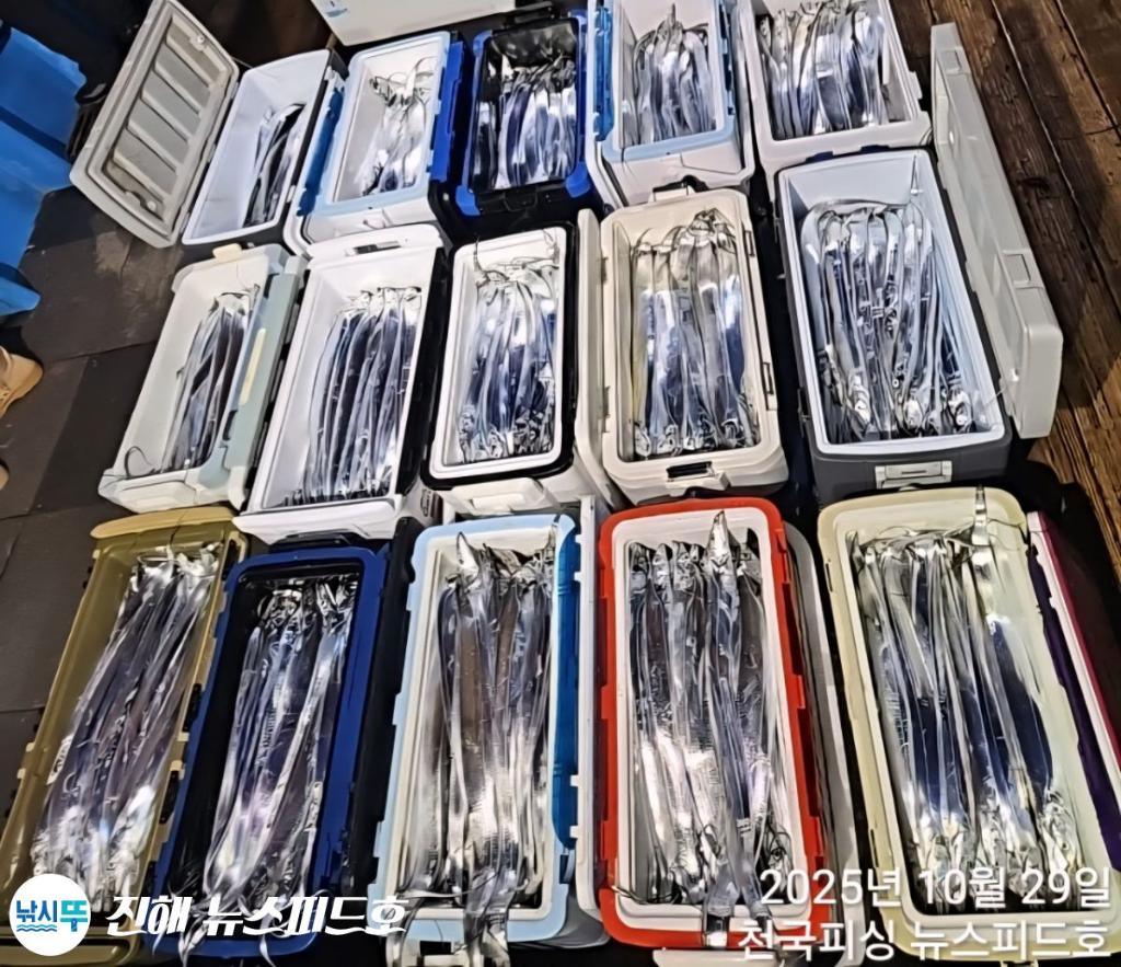 낚시뚜,갈치,진해행암항,진해 뉴스피드호,낚시뚜22