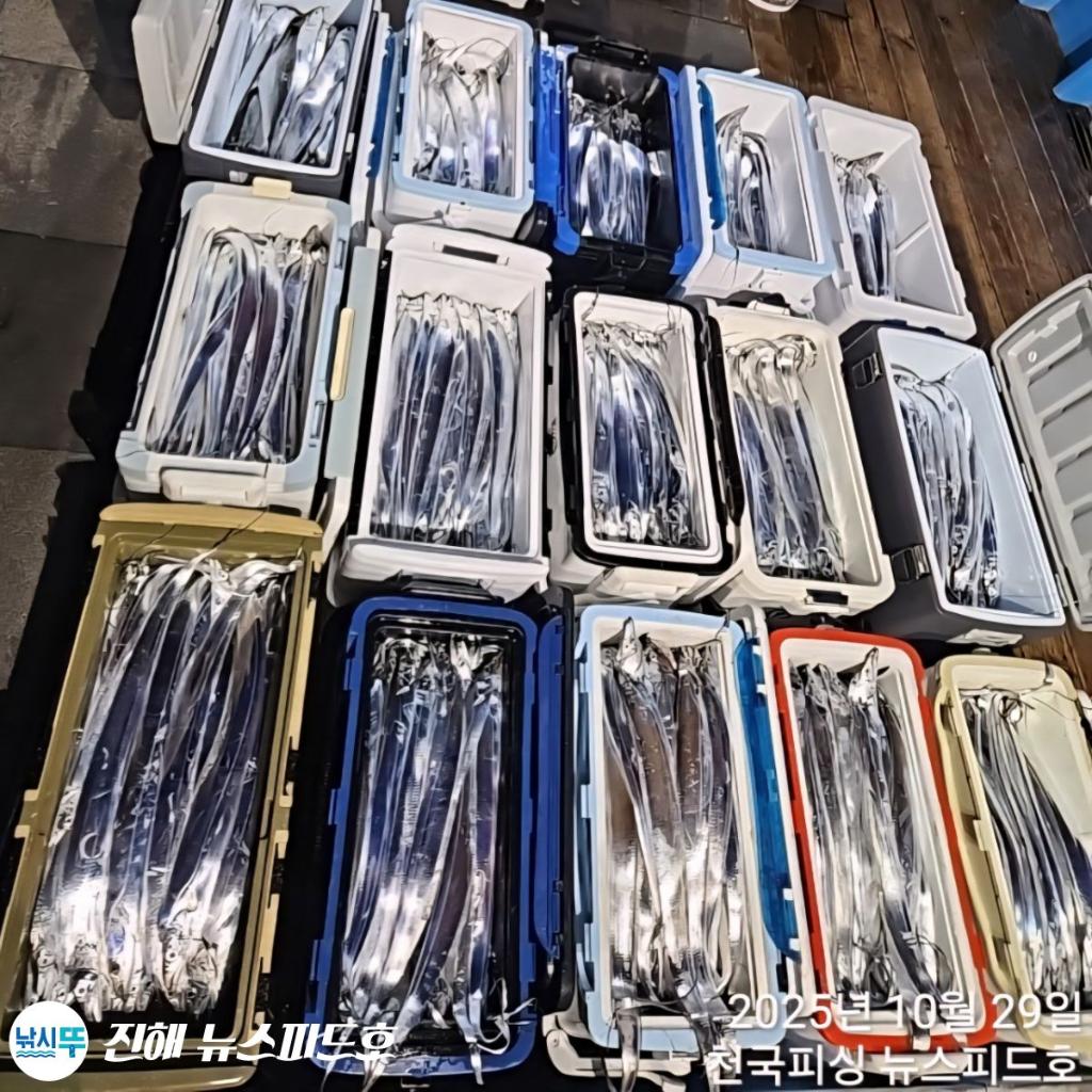 낚시뚜,갈치,진해행암항,진해 뉴스피드호,낚시뚜20