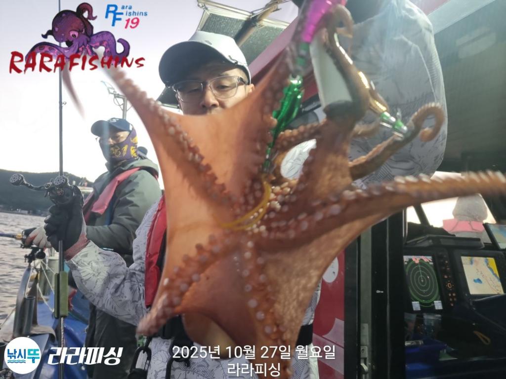 낚시뚜,돌문어,속천항(진해),라라피싱,낚시뚜5
