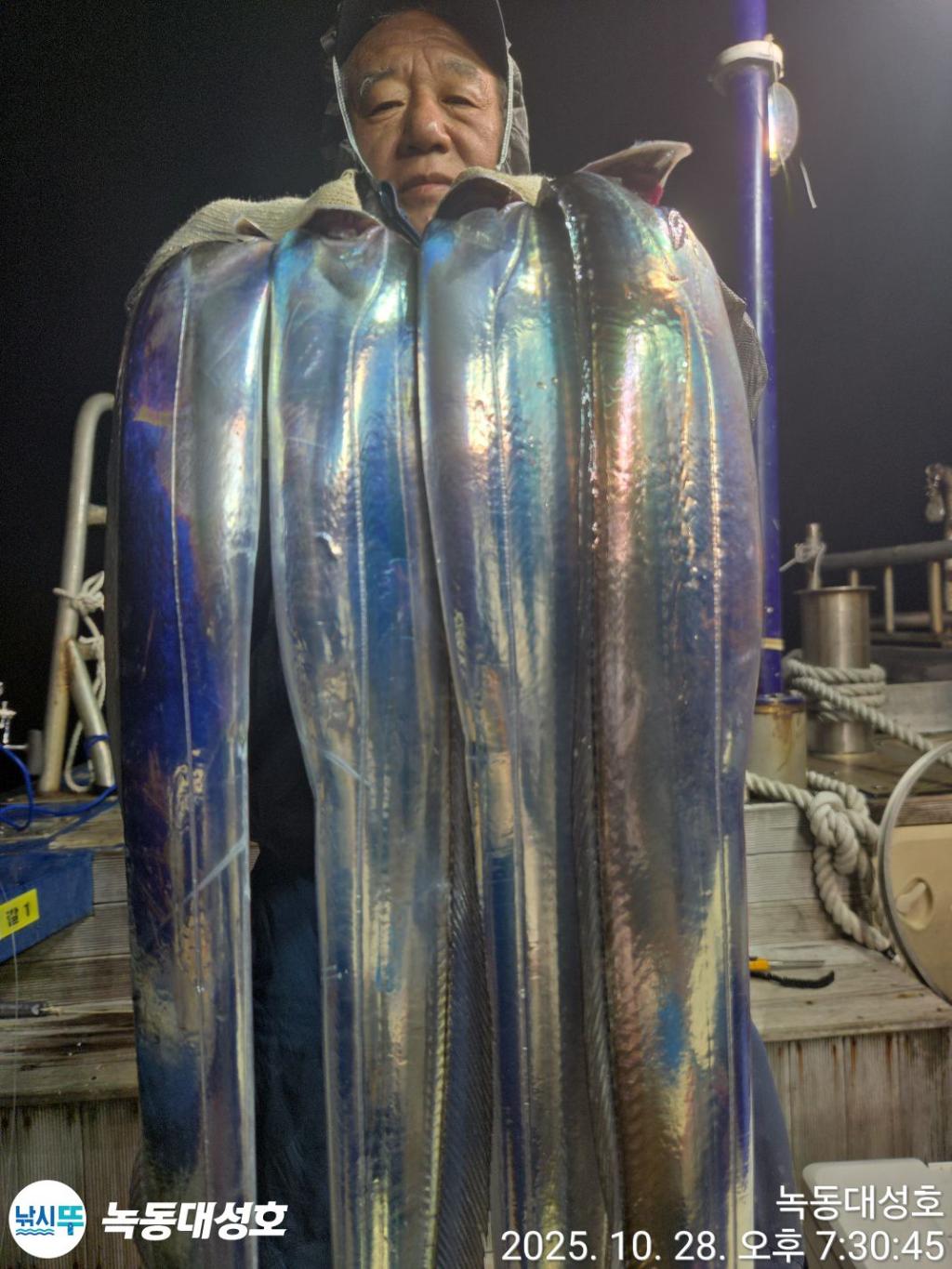 낚시뚜,갈치,녹동항,녹동대성호,낚시뚜41