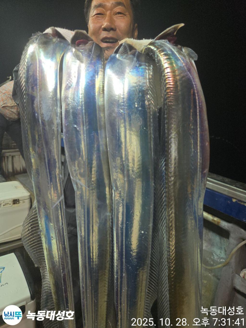 낚시뚜,갈치,녹동항,녹동대성호,낚시뚜37