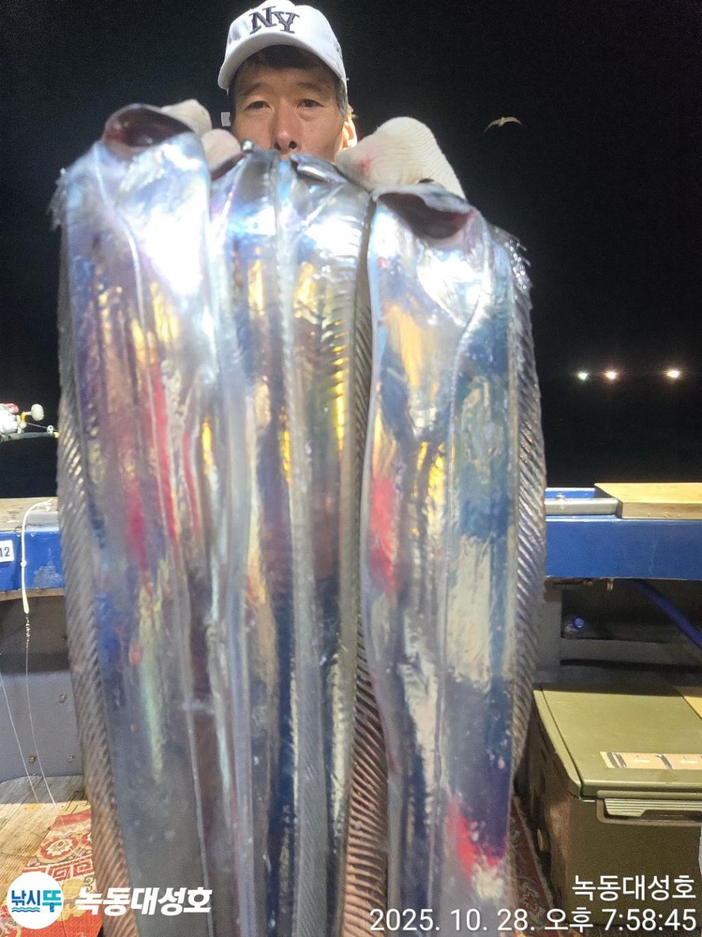 낚시뚜,갈치,녹동항,녹동대성호,낚시뚜36