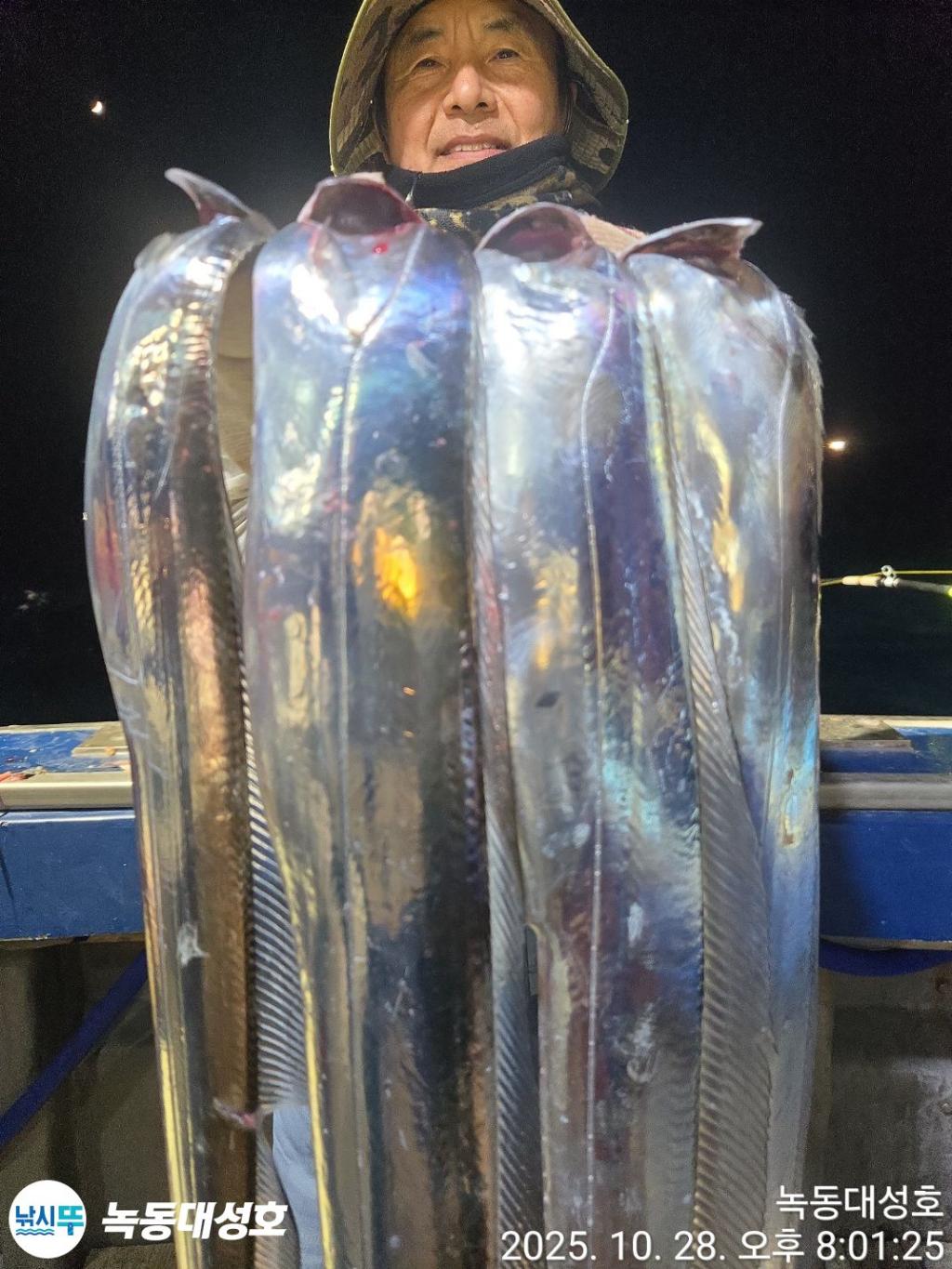 낚시뚜,갈치,녹동항,녹동대성호,낚시뚜35