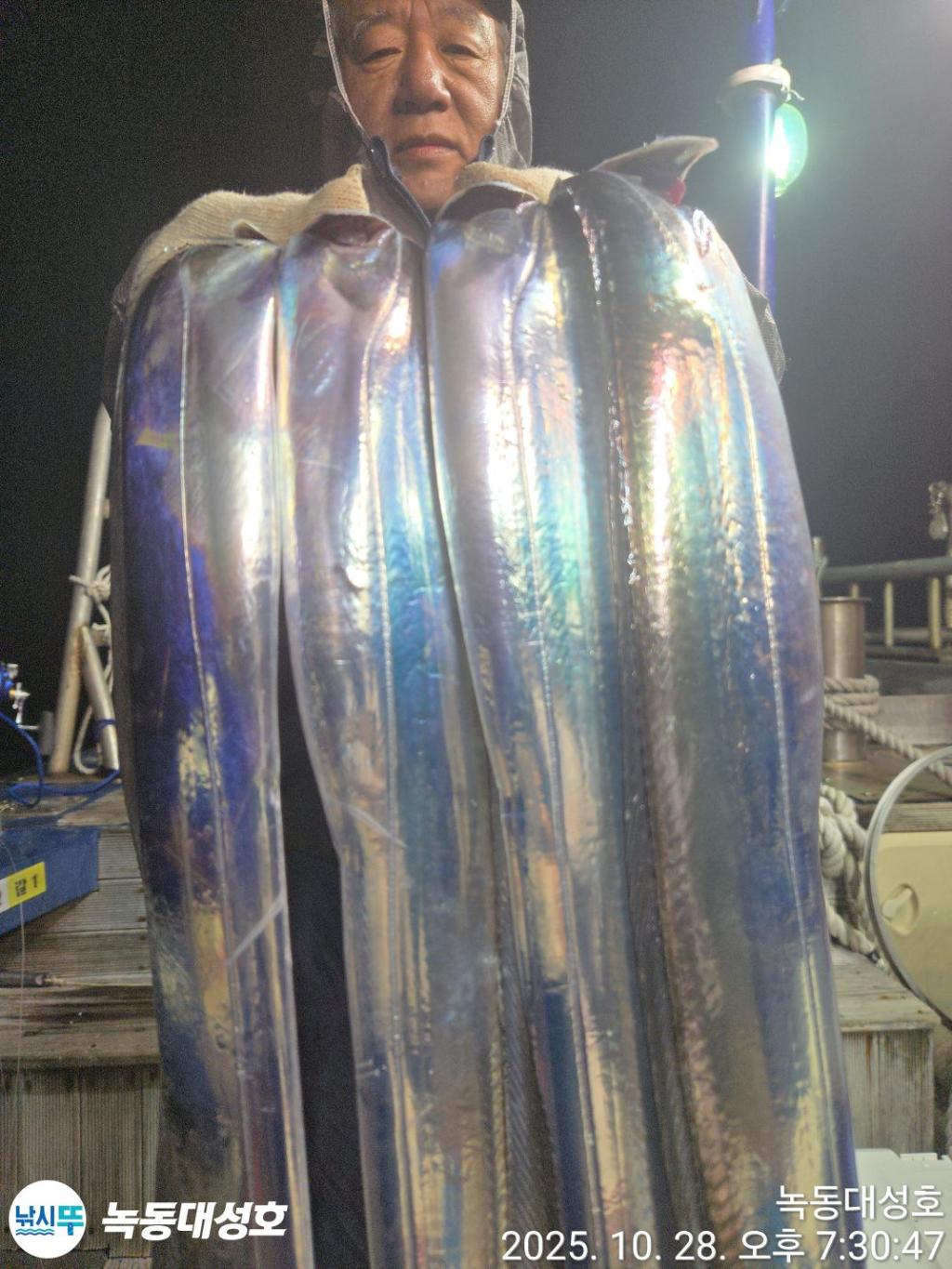 낚시뚜,갈치,녹동항,녹동대성호,낚시뚜33