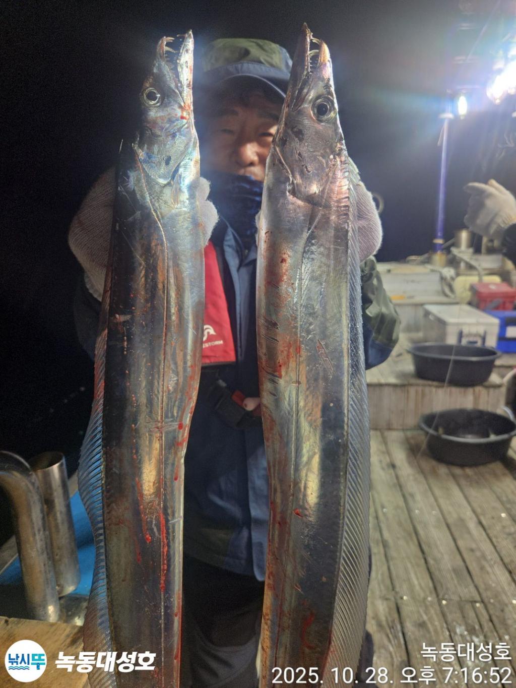 낚시뚜,갈치,녹동항,녹동대성호,낚시뚜32