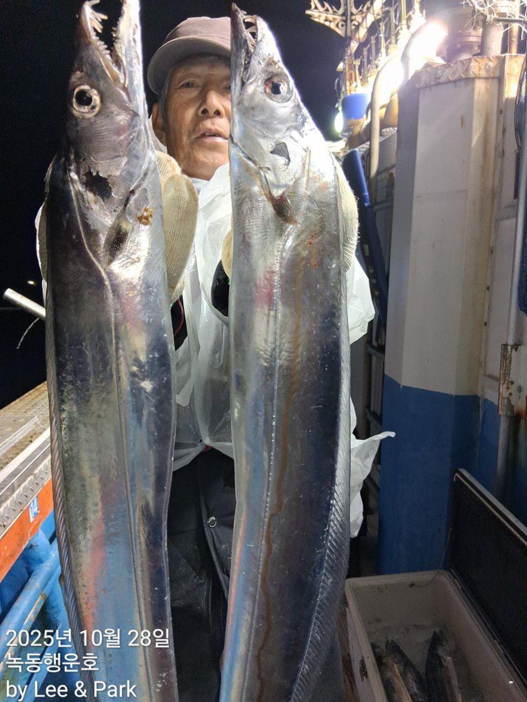 낚시뚜,갈치,녹동항,녹동대성호,낚시뚜29