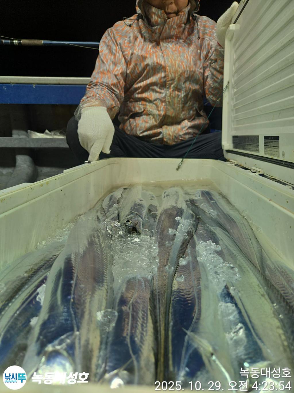낚시뚜,갈치,녹동항,녹동대성호,낚시뚜22
