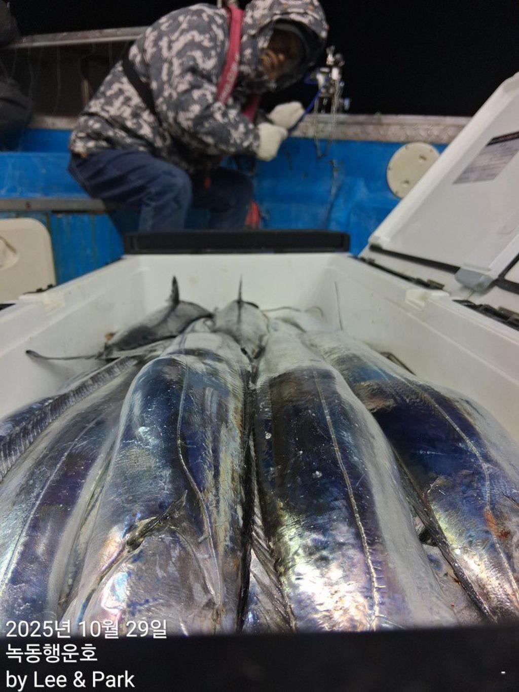 낚시뚜,갈치,녹동항,녹동대성호,낚시뚜18