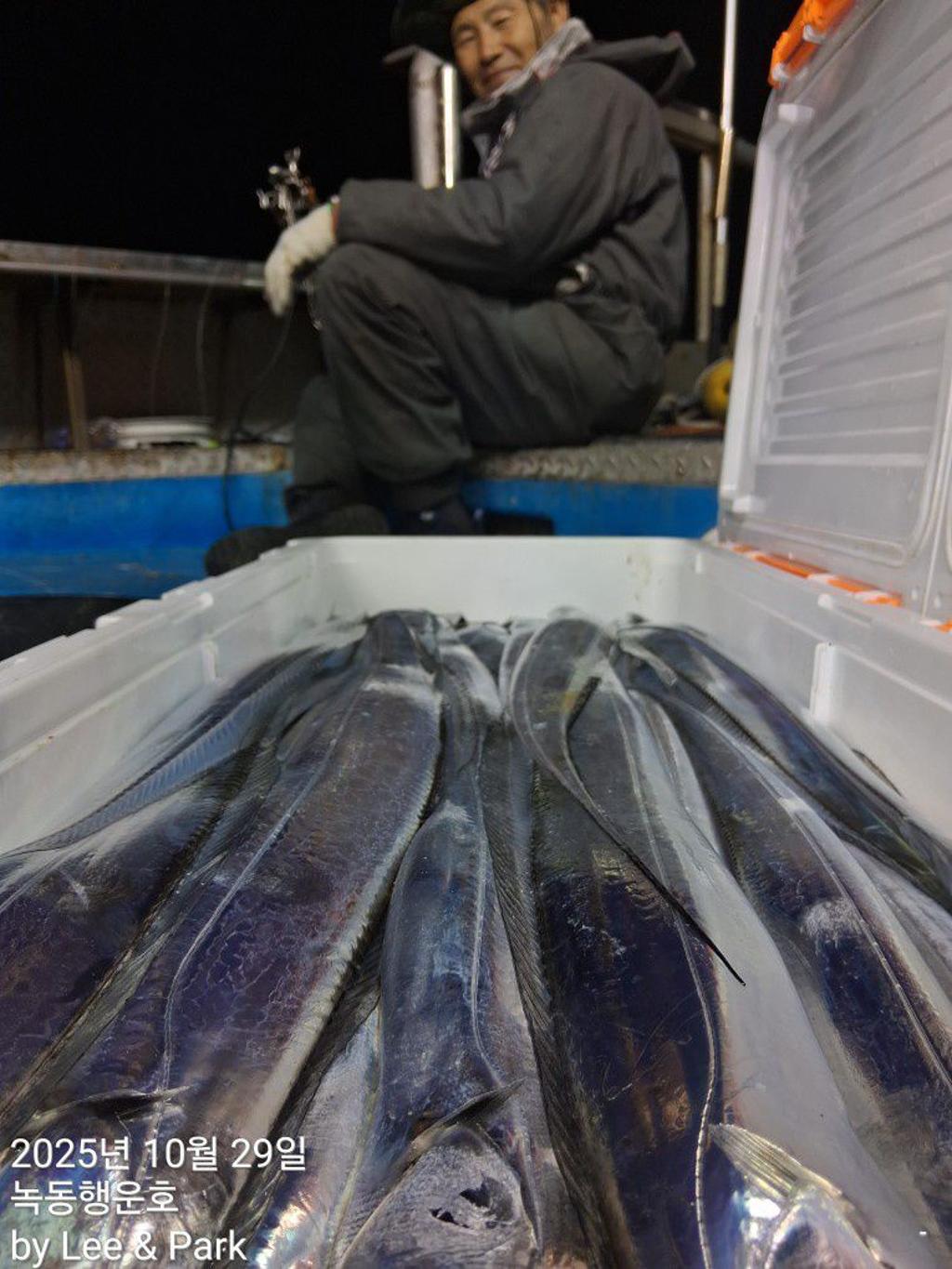 낚시뚜,갈치,녹동항,녹동대성호,낚시뚜17