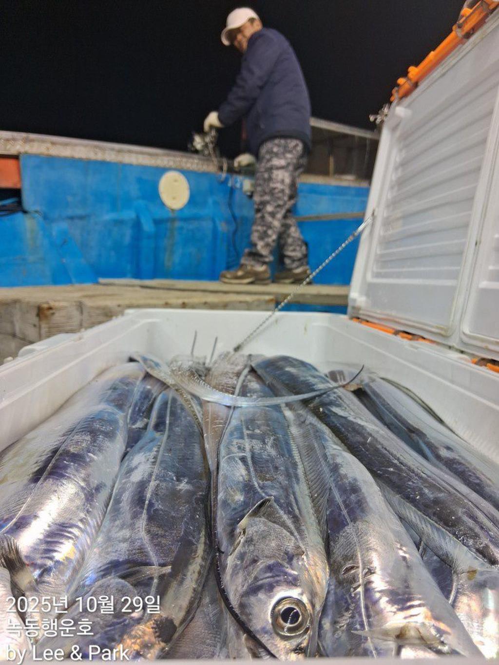 낚시뚜,갈치,녹동항,녹동대성호,낚시뚜14