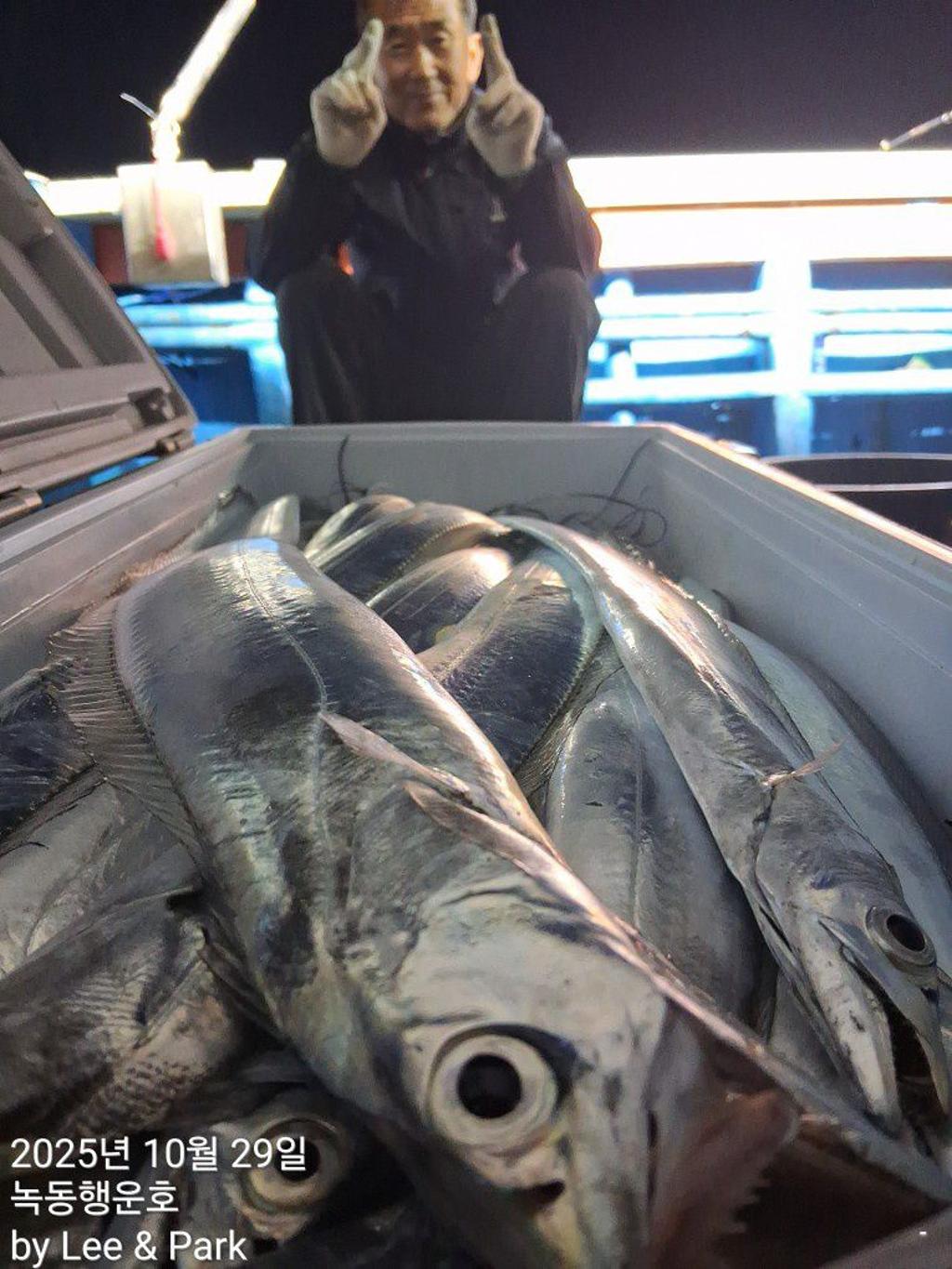 낚시뚜,갈치,녹동항,녹동대성호,낚시뚜13