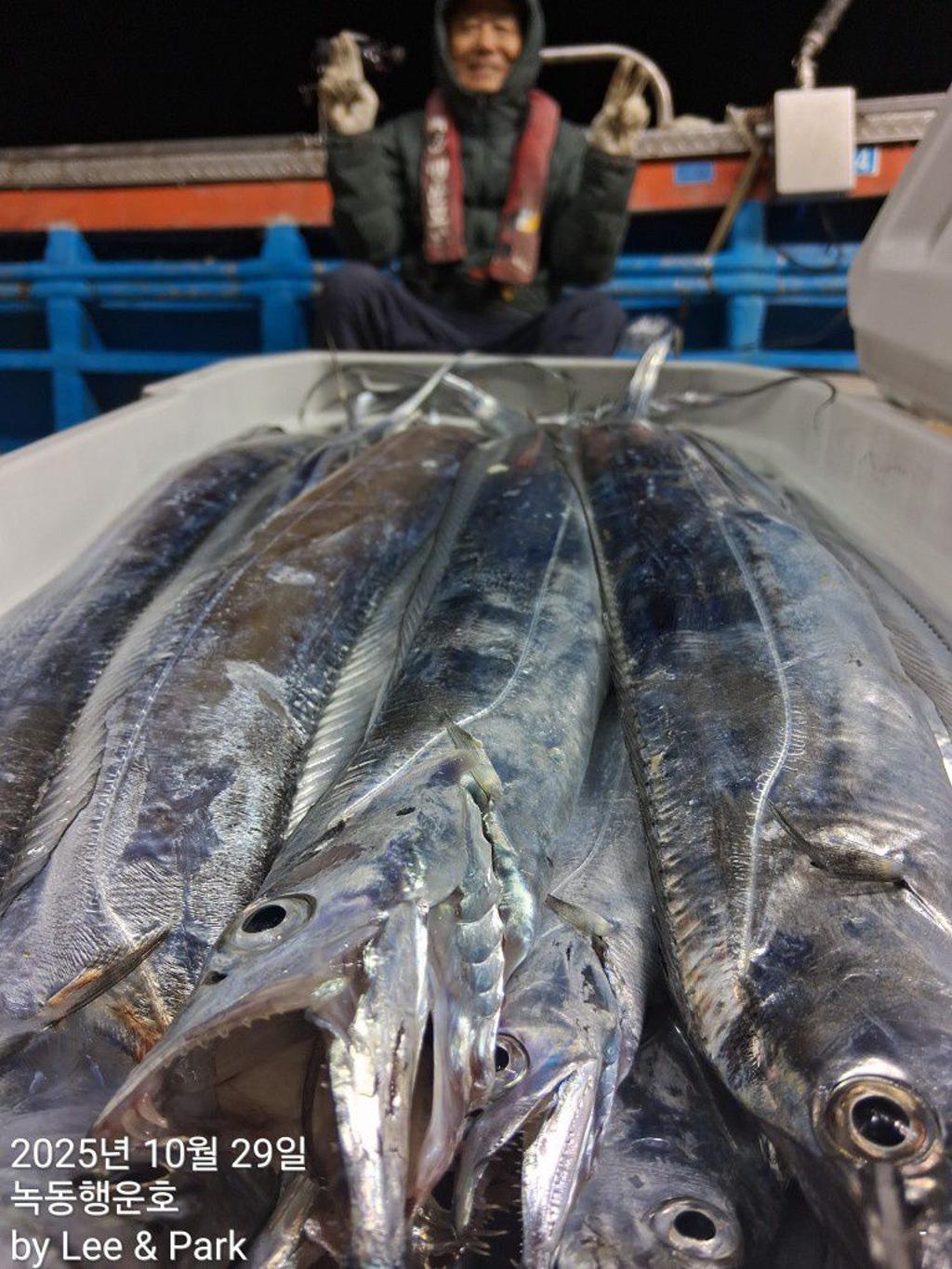 낚시뚜,갈치,녹동항,녹동대성호,낚시뚜12