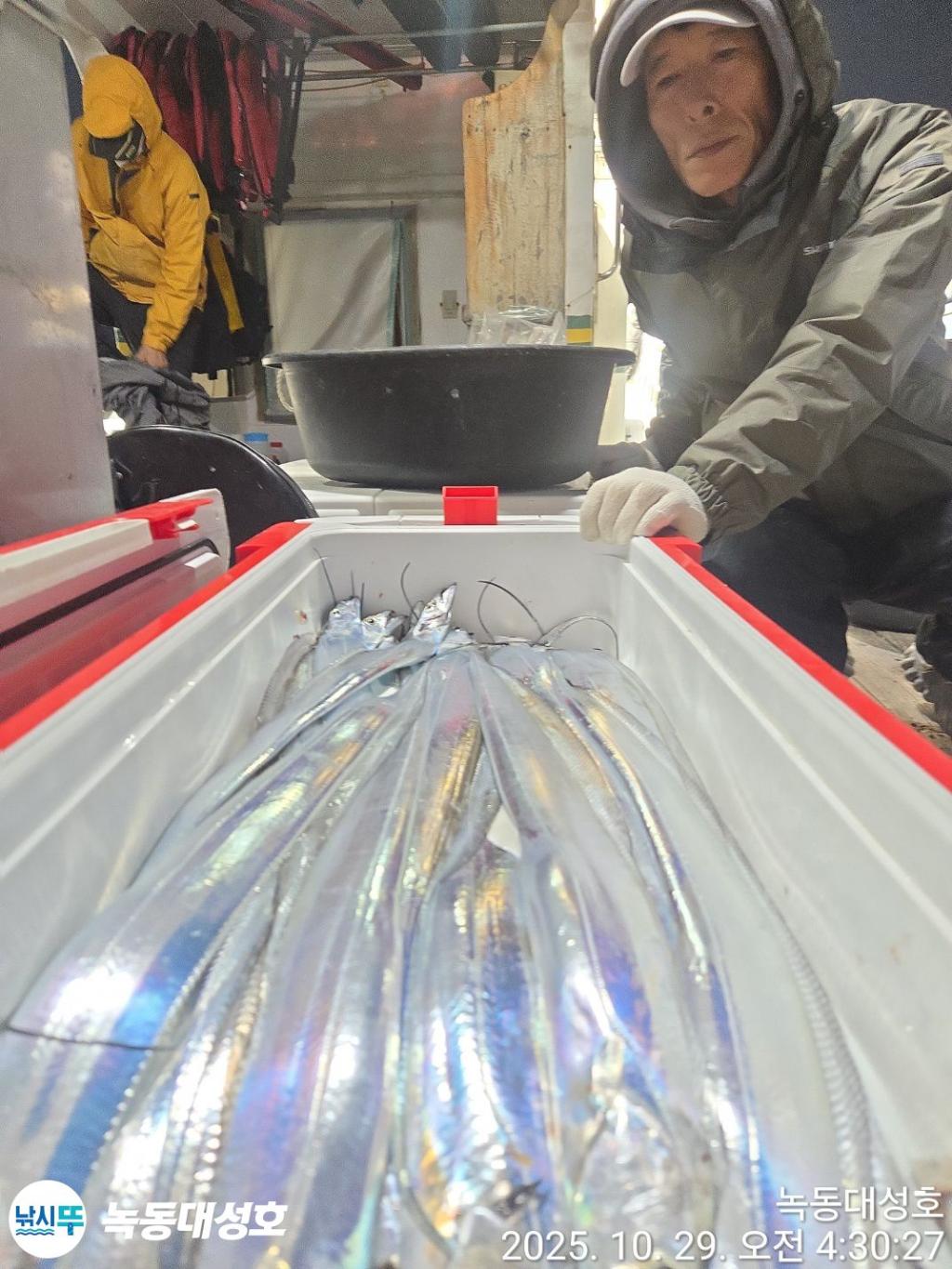 낚시뚜,갈치,녹동항,녹동대성호,낚시뚜11