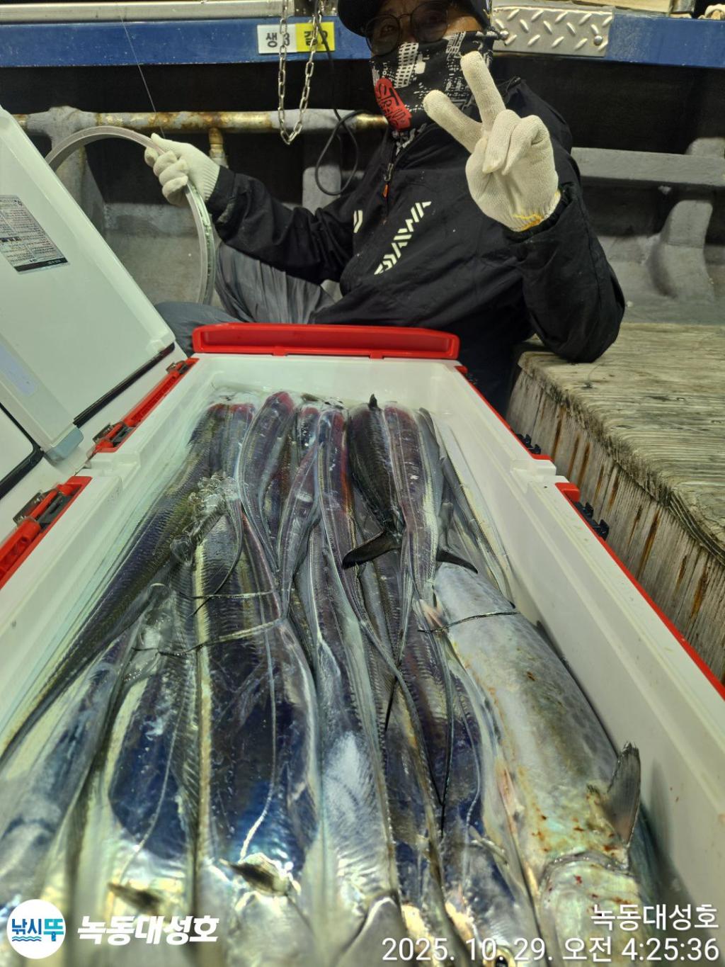 낚시뚜,갈치,녹동항,녹동대성호,낚시뚜10