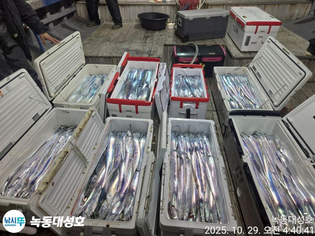 낚시뚜,갈치,녹동항,녹동대성호,낚시뚜3