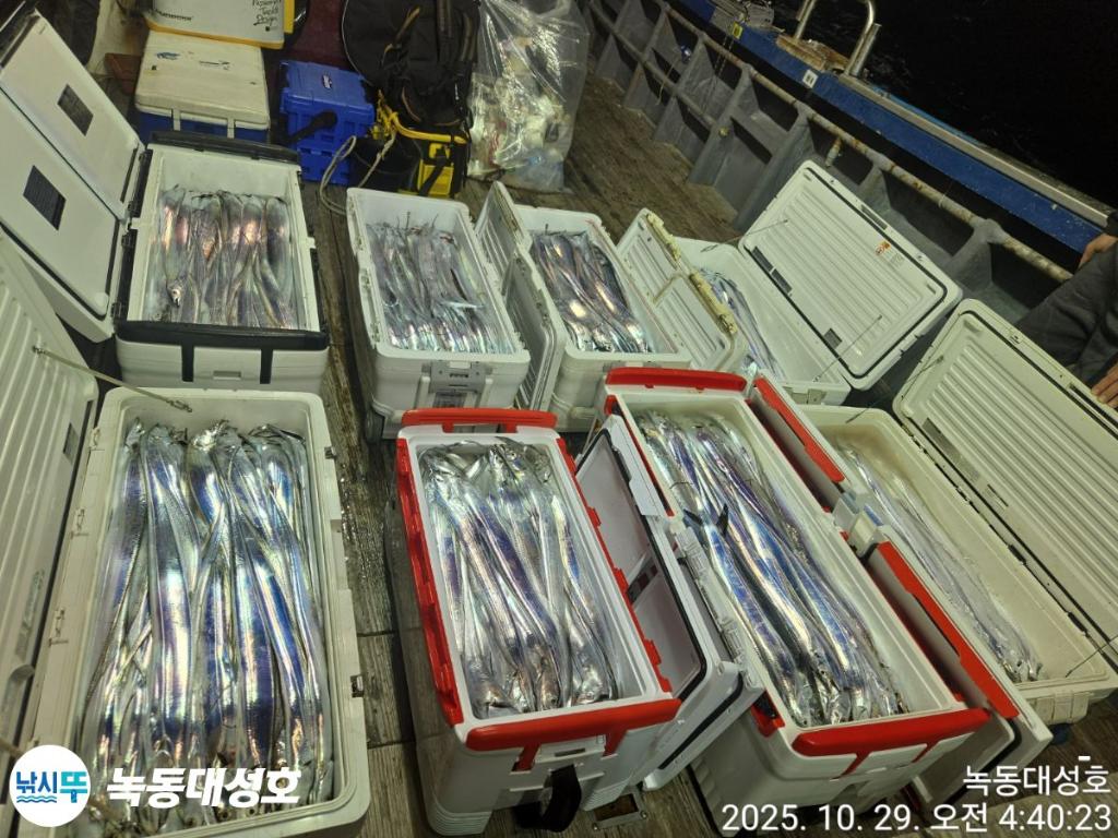 낚시뚜,갈치,녹동항,녹동대성호,낚시뚜2