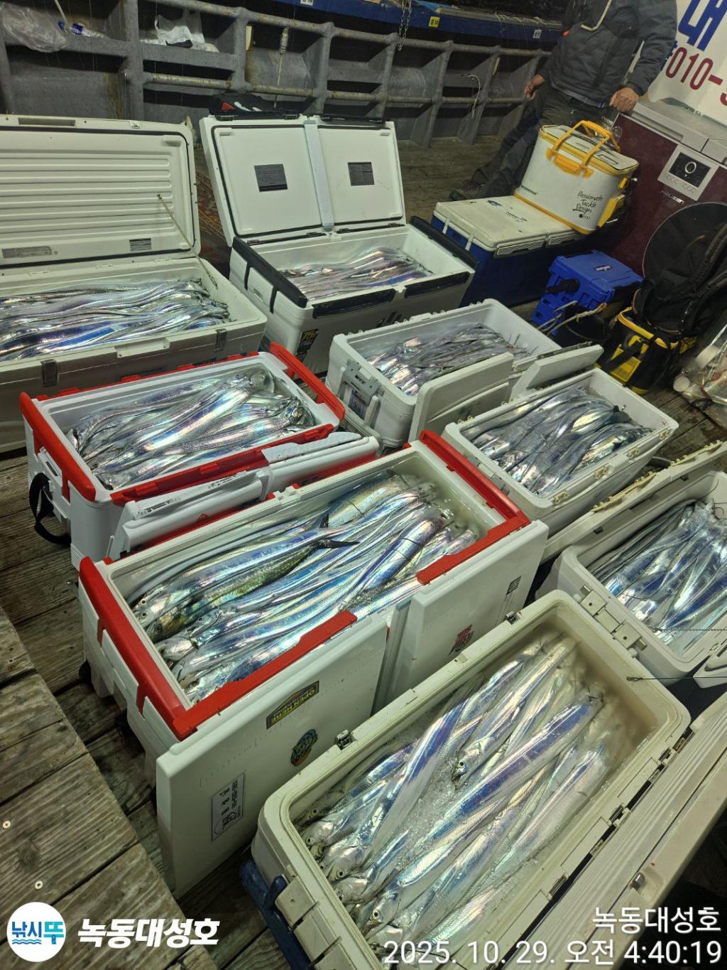 낚시뚜,갈치,녹동항,녹동대성호,낚시뚜1