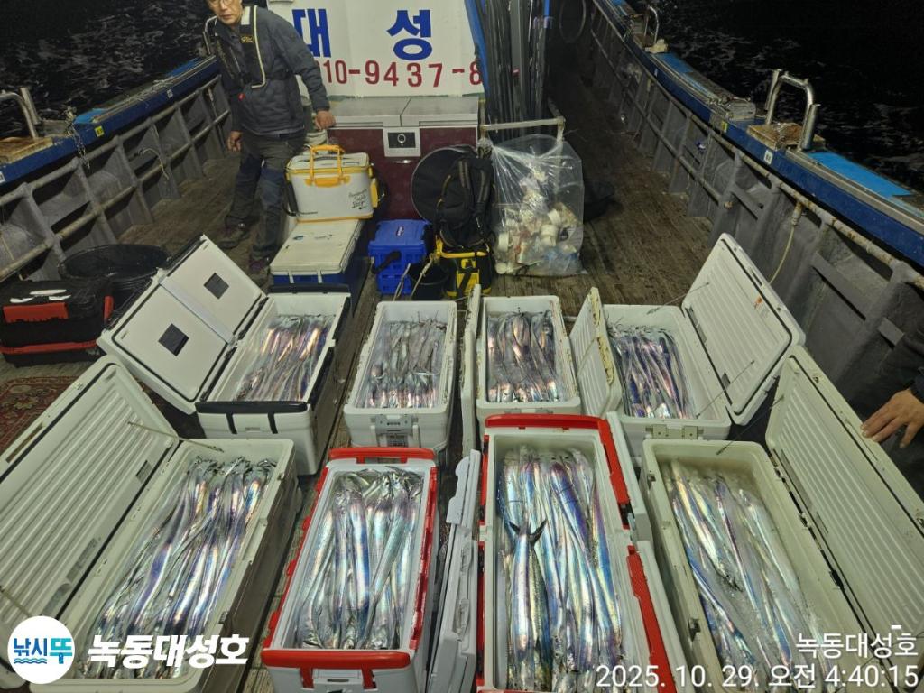 낚시뚜,갈치,녹동항,녹동대성호,낚시뚜0