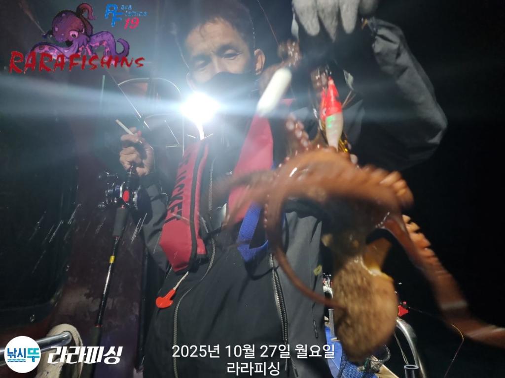 낚시뚜,돌문어,속천항(진해),라라피싱,낚시뚜3