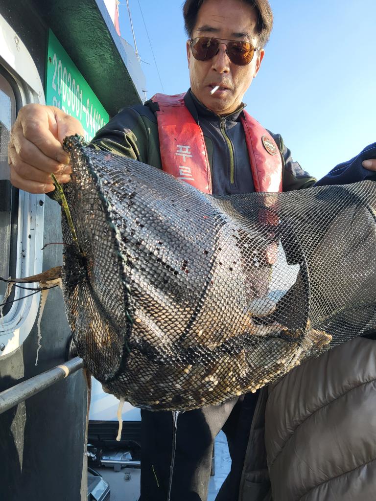 낚시뚜,쭈꾸미,오천항,푸르러호(뉴해양호),낚시뚜4