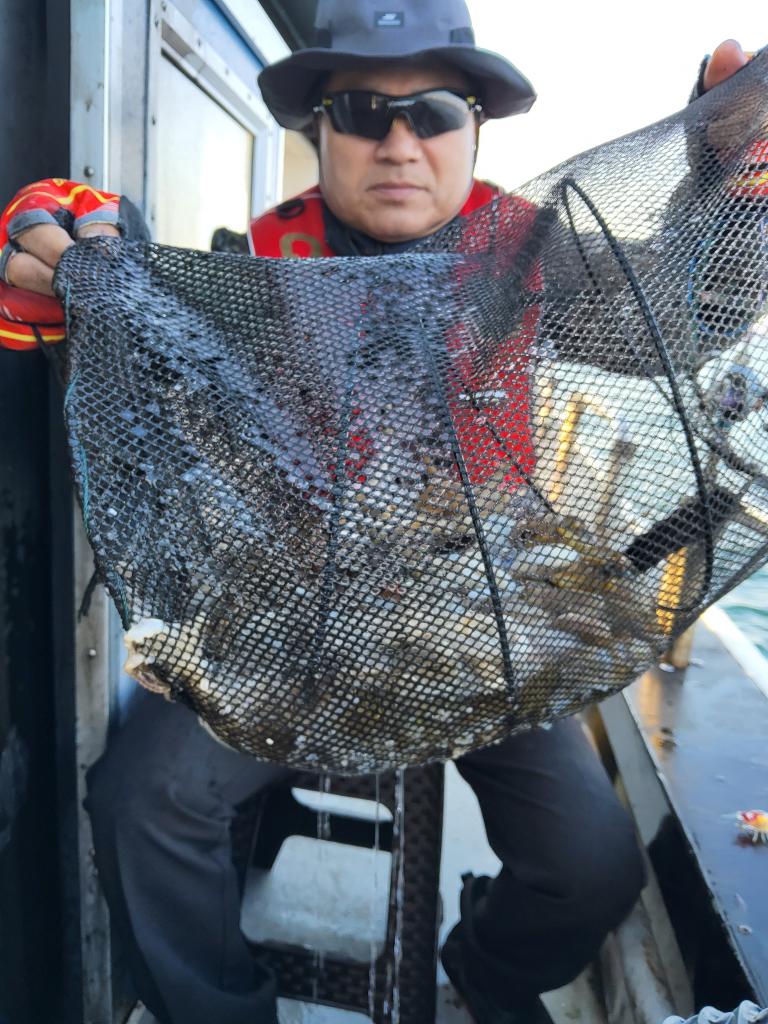 낚시뚜,쭈꾸미,오천항,푸르러호(뉴해양호),낚시뚜7