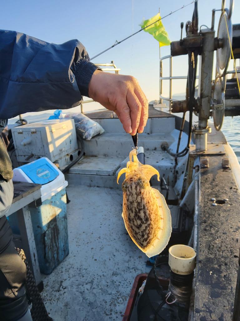 낚시뚜,쭈꾸미,오천항,푸르러호(뉴해양호),낚시뚜10