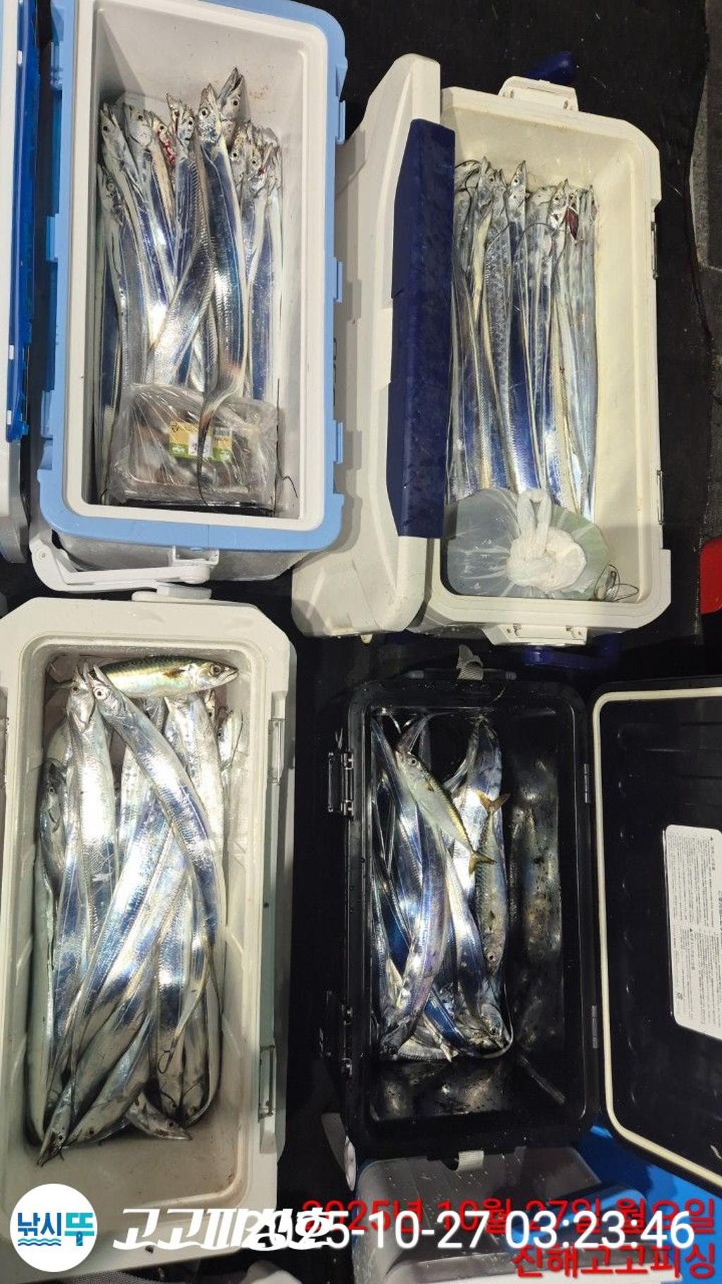 낚시뚜,,속천항(진해),고고피싱호,낚시뚜12