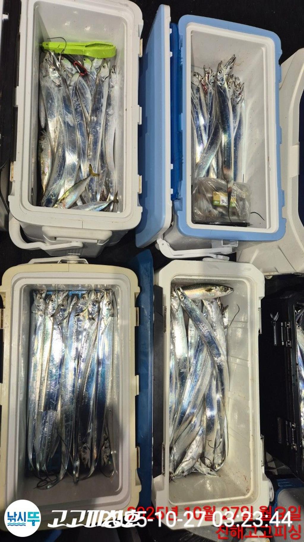 낚시뚜,,속천항(진해),고고피싱호,낚시뚜11