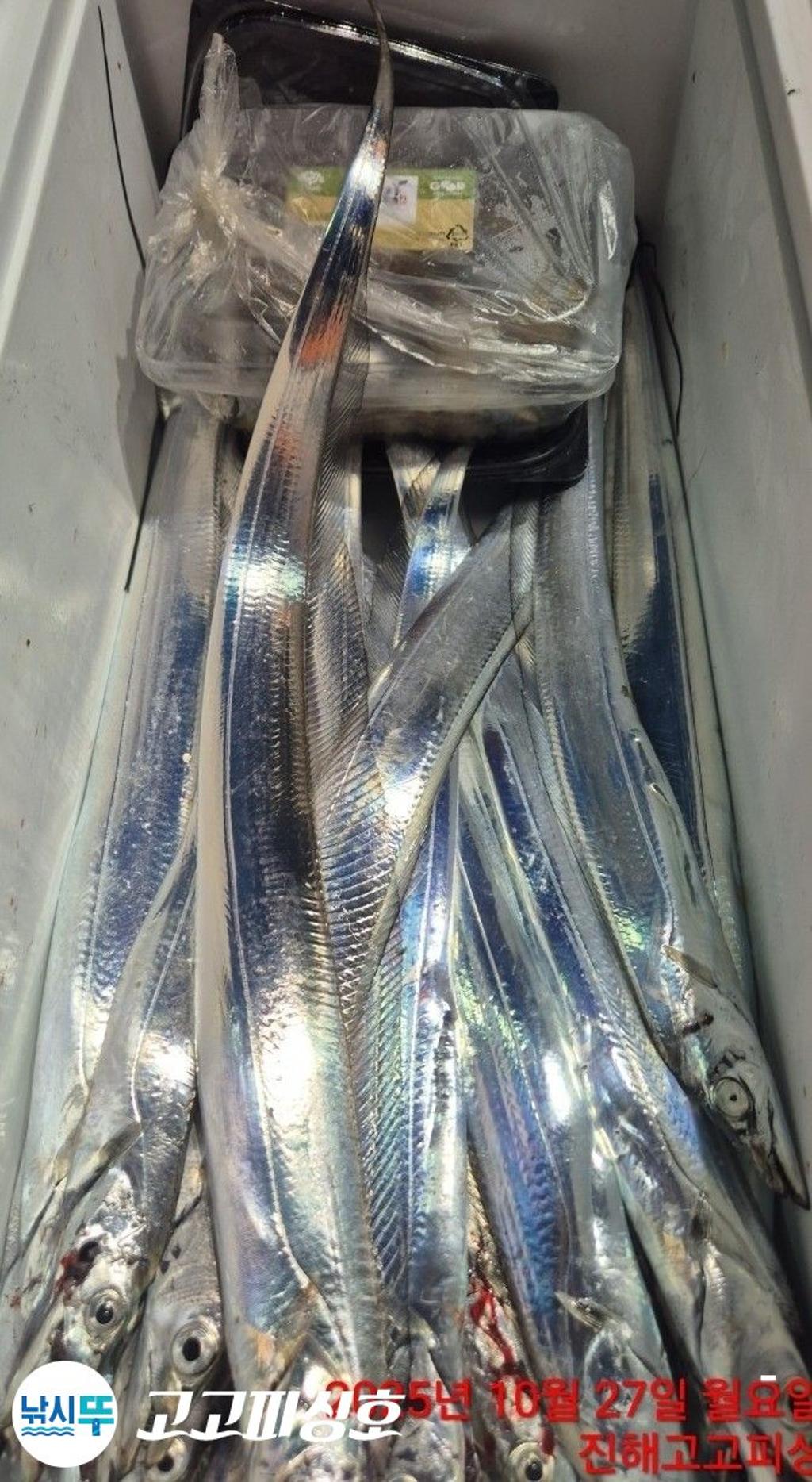 낚시뚜,,속천항(진해),고고피싱호,낚시뚜6