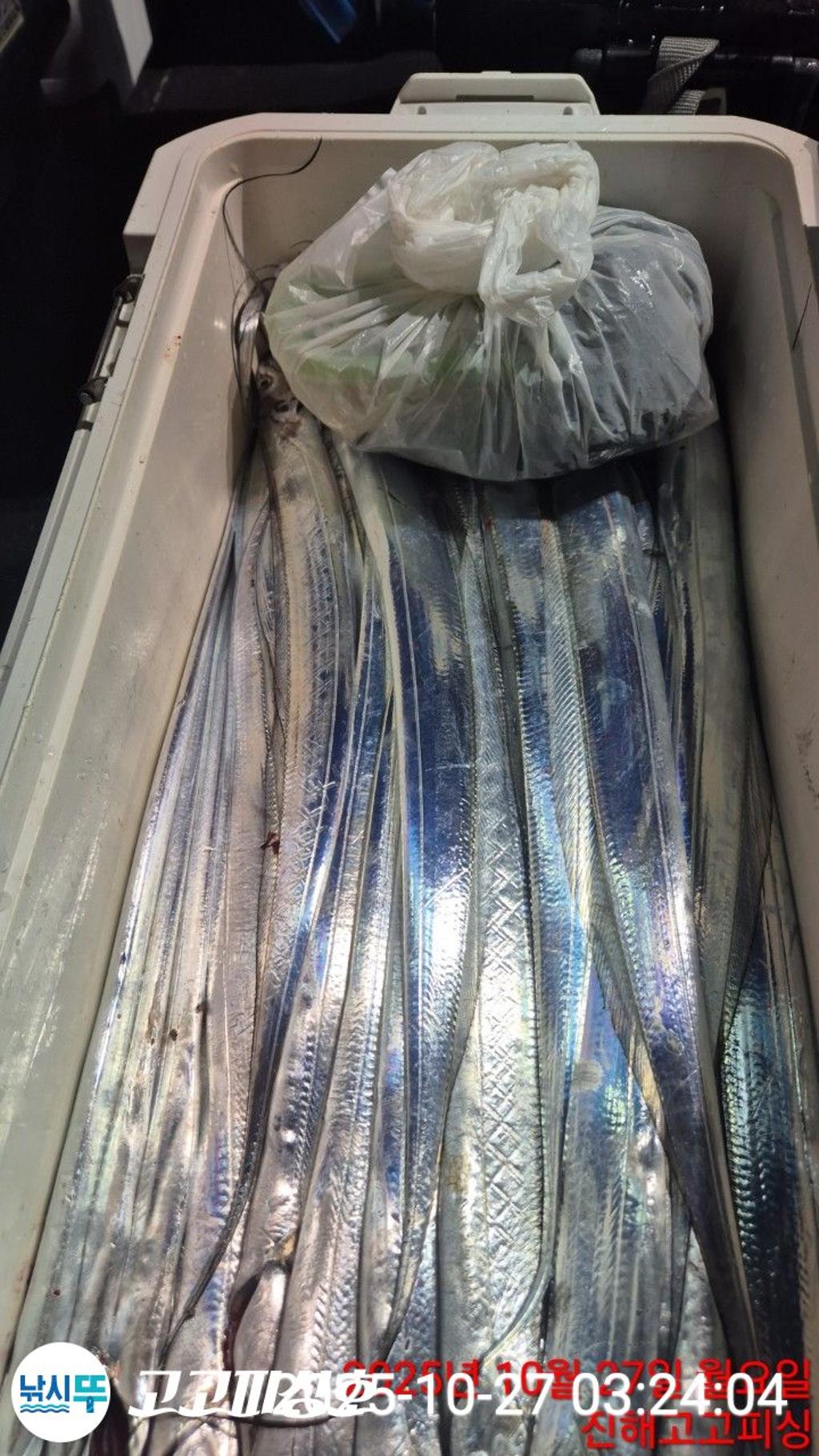 낚시뚜,,속천항(진해),고고피싱호,낚시뚜5