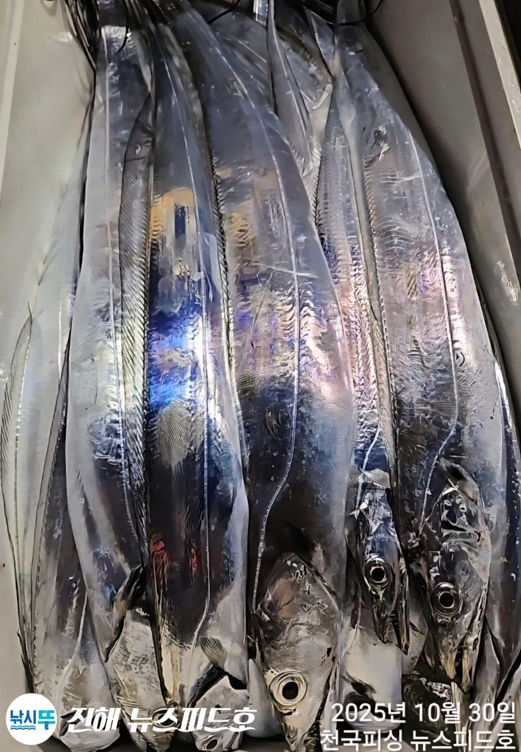 낚시뚜,,진해행암항,진해 뉴스피드호,낚시뚜21