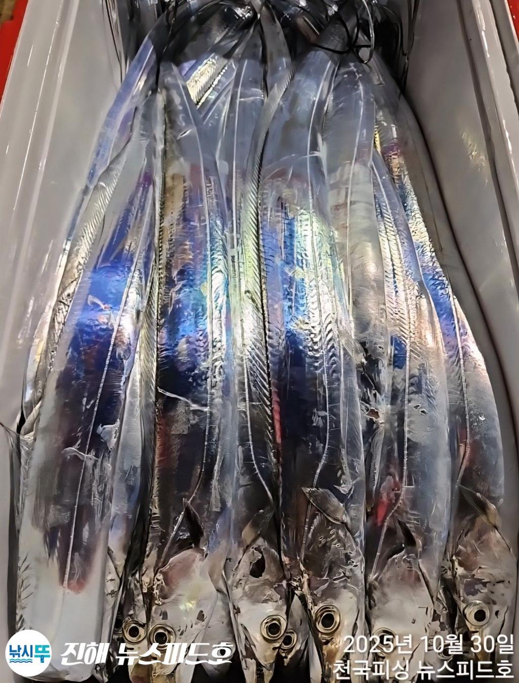 낚시뚜,,진해행암항,진해 뉴스피드호,낚시뚜20