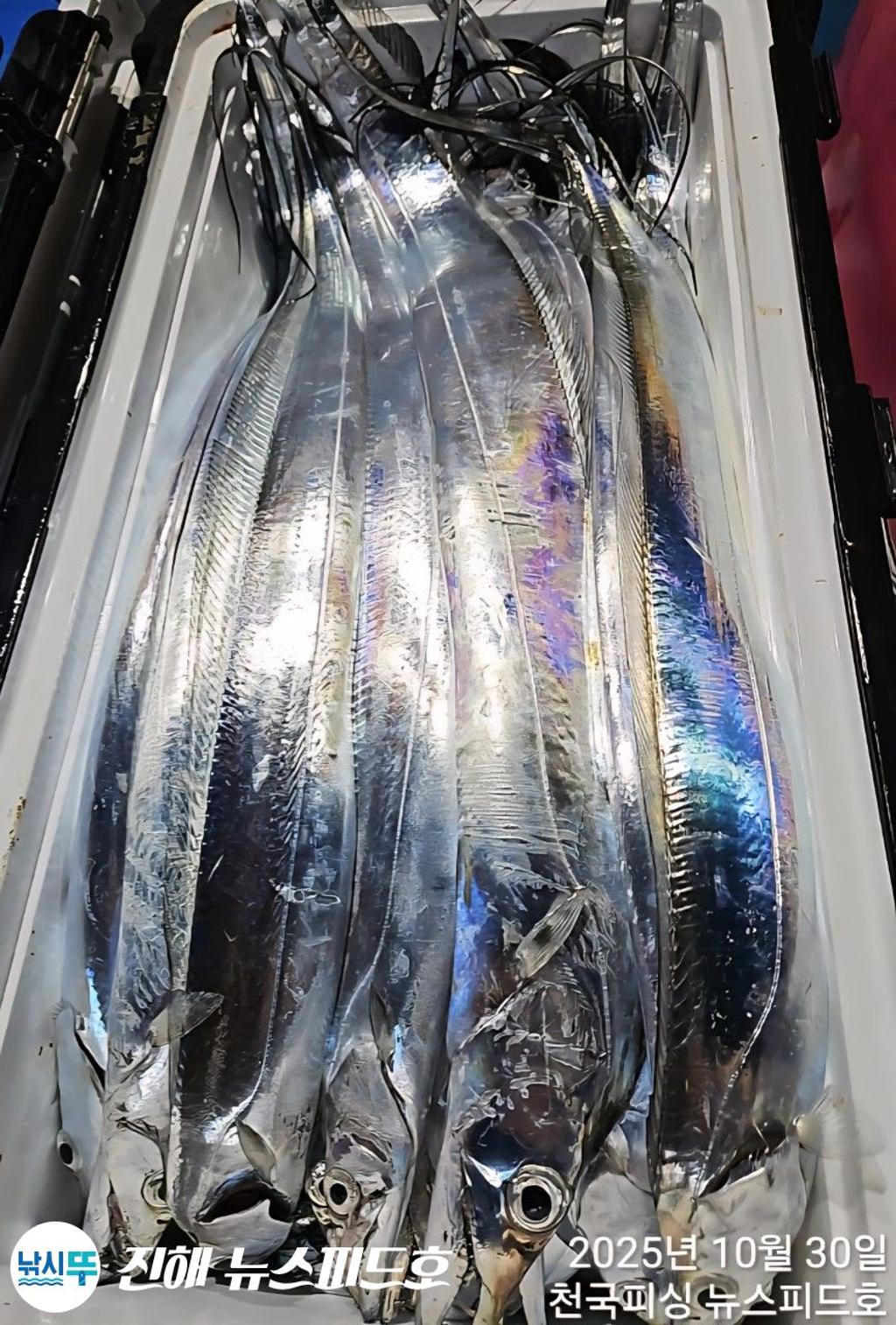 낚시뚜,,진해행암항,진해 뉴스피드호,낚시뚜19