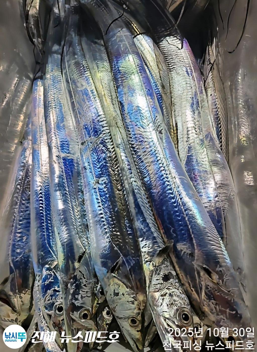 낚시뚜,,진해행암항,진해 뉴스피드호,낚시뚜22